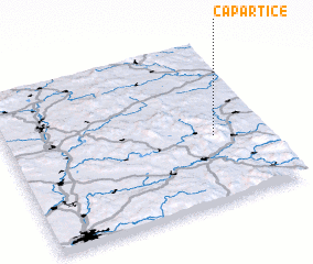 3d view of Capartice