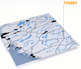 3d view of Tokabo