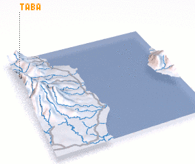 3d view of Taba