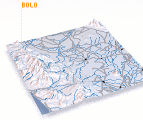 3d view of Bolo