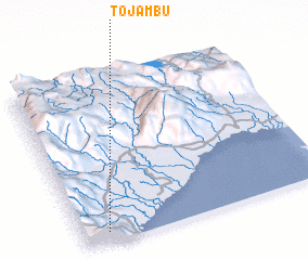 3d view of Tojambu