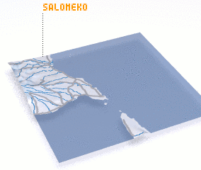 3d view of Salomeko