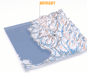 3d view of Aringay