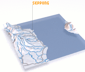 3d view of Seppong