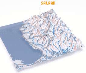 3d view of Salaan