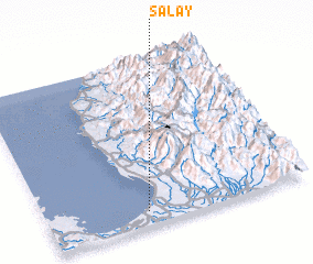 3d view of Salay