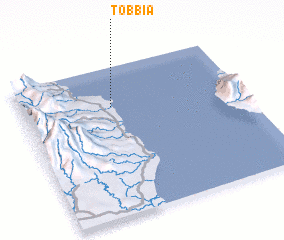 3d view of Tobbia