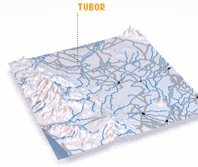 3d view of Tubor