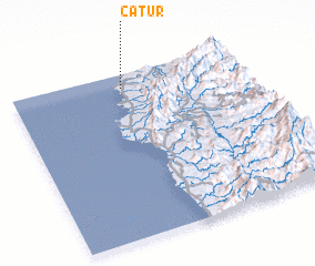 3d view of Catur