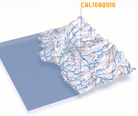 3d view of Calioaquio