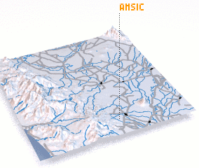 3d view of Amsic