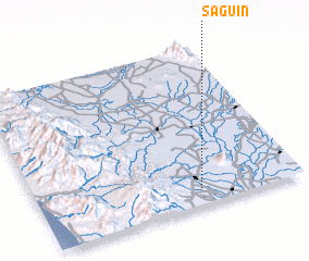 3d view of Saguin