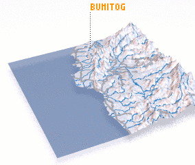 3d view of Bumitog