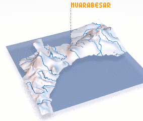 3d view of Muarabesar