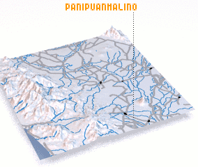 3d view of Panipuan Malino