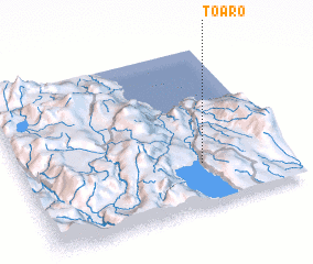 3d view of Toaro