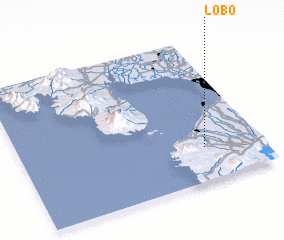 3d view of Lobo