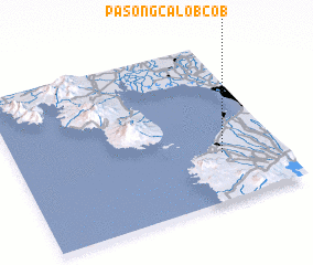 3d view of Pasong Calobcob