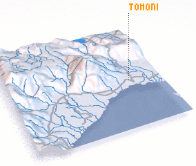 3d view of Tomoni