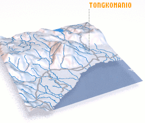 3d view of Tongkomanio