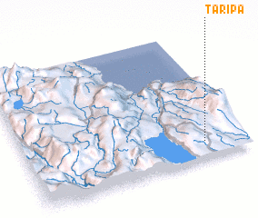 3d view of Taripa