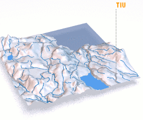 3d view of Tiu