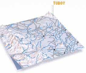3d view of Tuboy