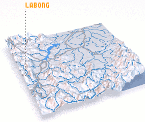 3d view of Labong