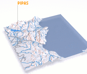 3d view of Pipas