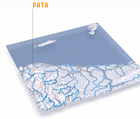 3d view of Pata