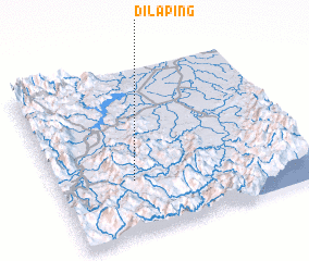3d view of Dilaping