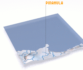 3d view of Pinamula