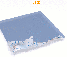 3d view of Leok