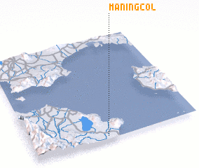 3d view of Maningcol