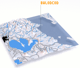 3d view of Balodcod