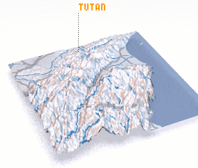 3d view of T\