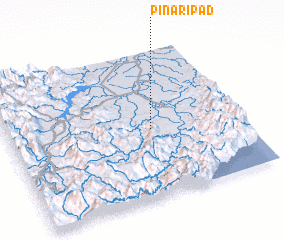 3d view of Pinaripad