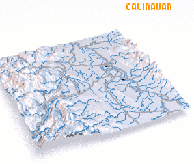 3d view of Calinauan