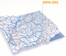 3d view of Napaliong