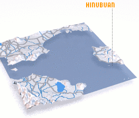 3d view of Hinubuan