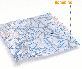 3d view of Manaring