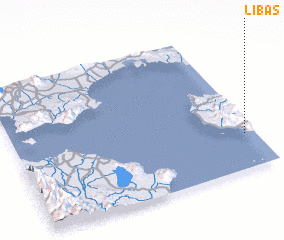 3d view of Libas