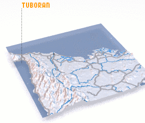 3d view of Tuboran