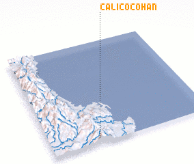 3d view of Calicocohan