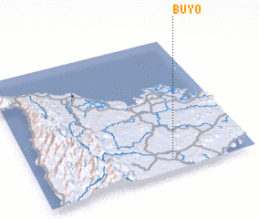 3d view of Buyo