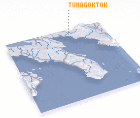 3d view of Tumagoktok