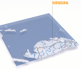 3d view of Nipanipa