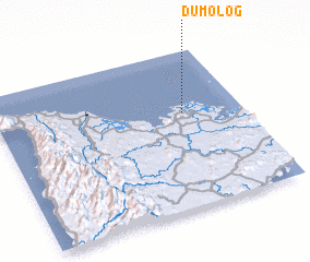 3d view of Dumolog