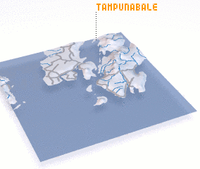 3d view of Tampunabale