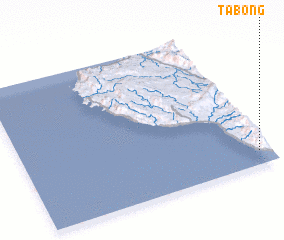 3d view of Tabong